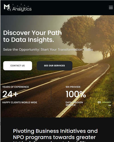 mganalytics web development